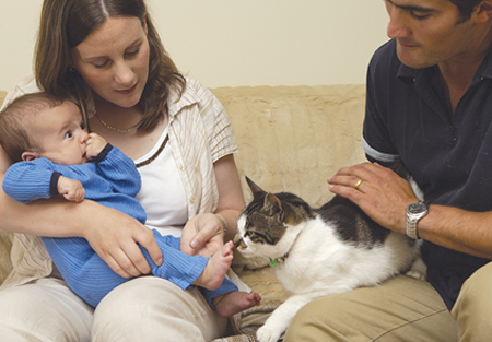 Introducing your cat to the baby